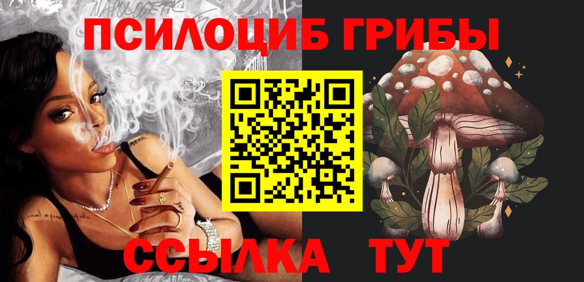Благовещенск  Галлюциногенные грибы Psilocybe  Вход с VPN 